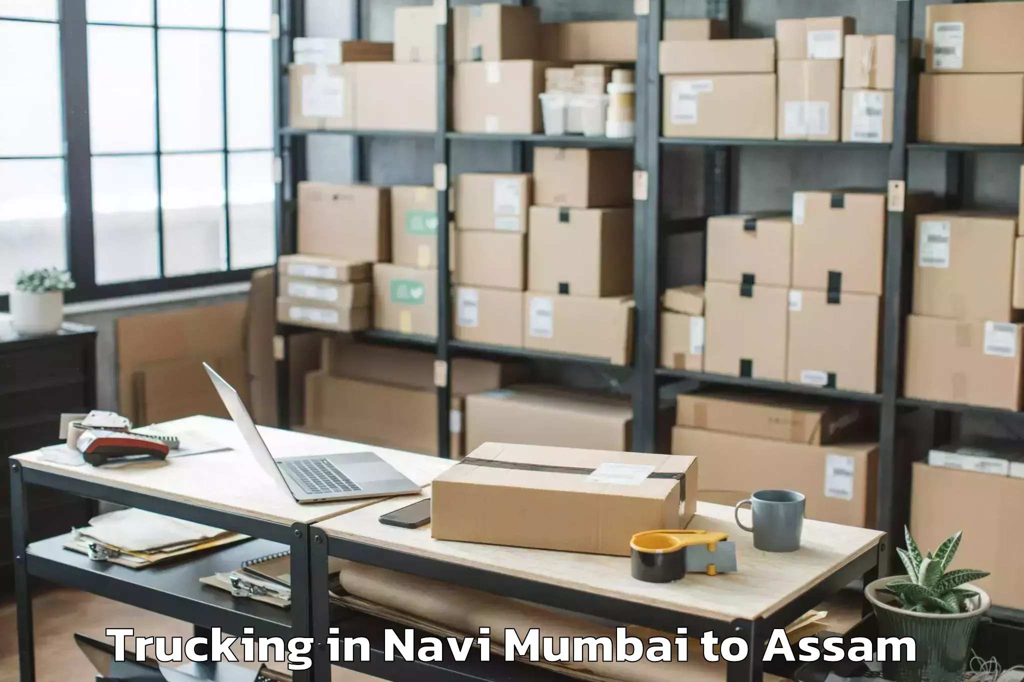 Professional Navi Mumbai to Dhing Trucking